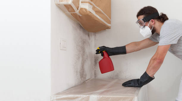 Professional Bathroom Mold Removal technician working in Deerfield, IL