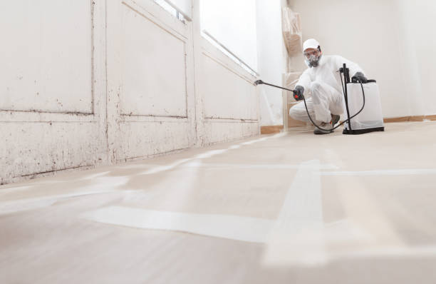 24/7 Emergency Bathroom Mold Removal experts in Deerfield, IL